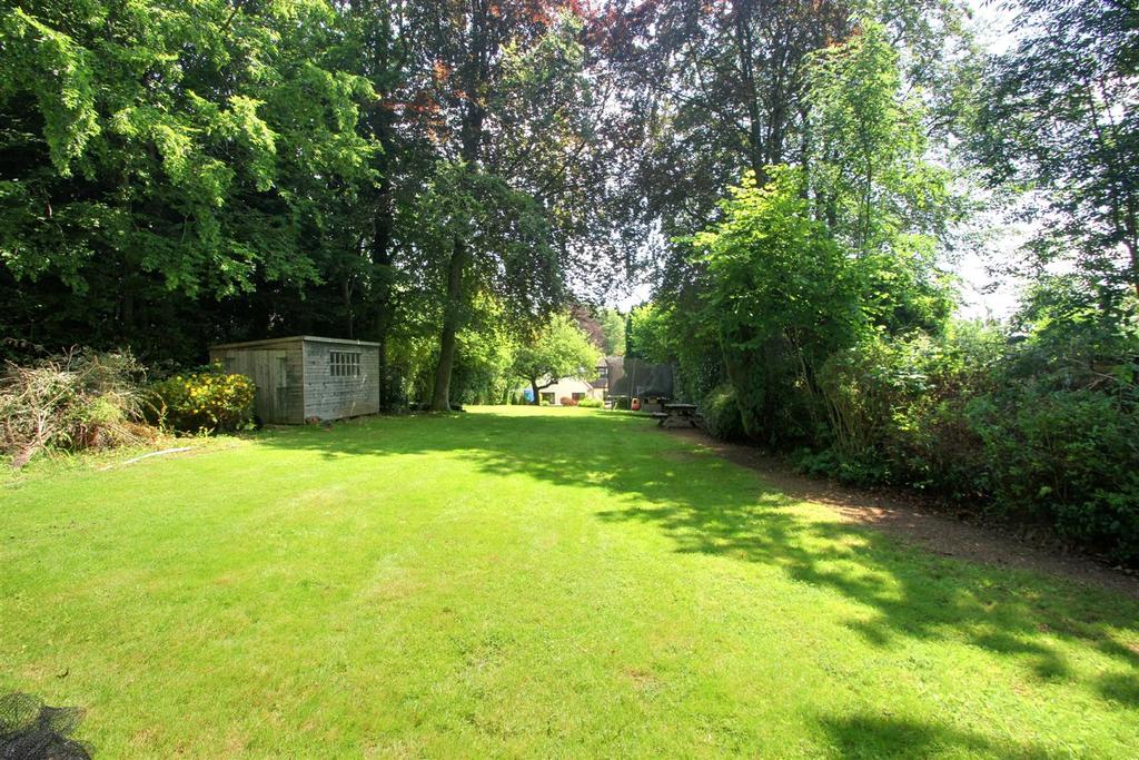 Garden 4.jpg