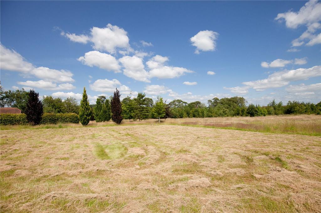 Arboretum