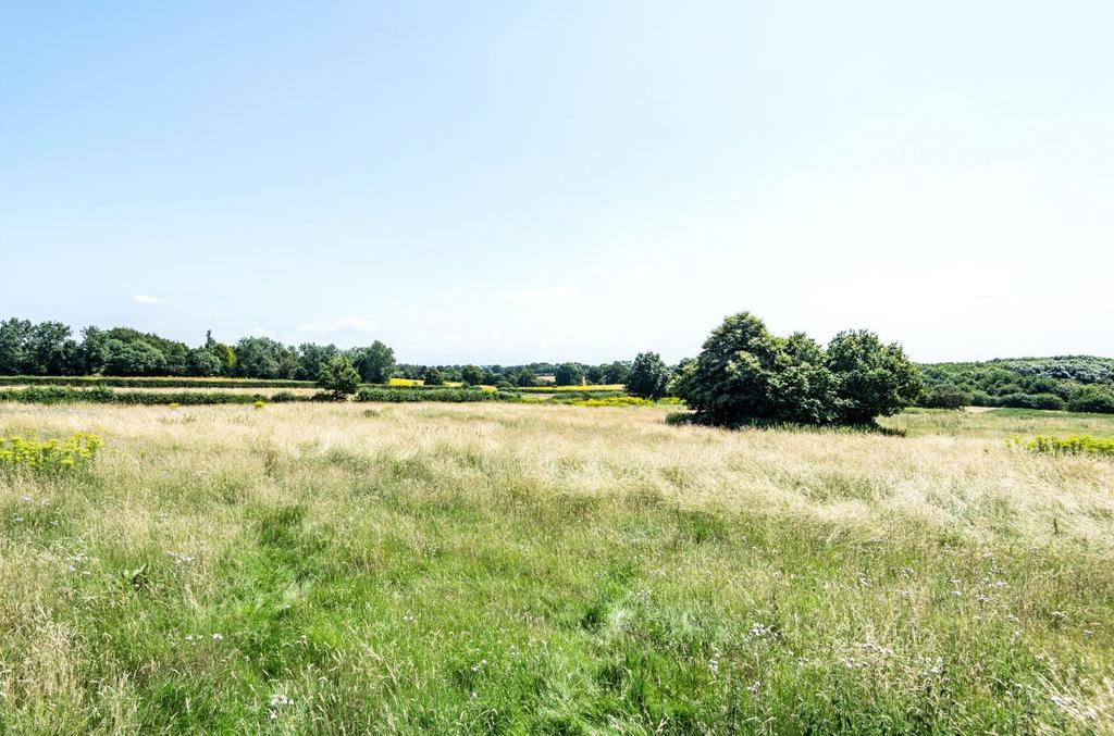 Meadow Garden &amp; View