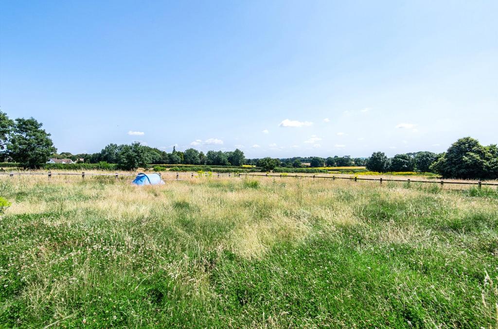 Meadow Garden &amp; View
