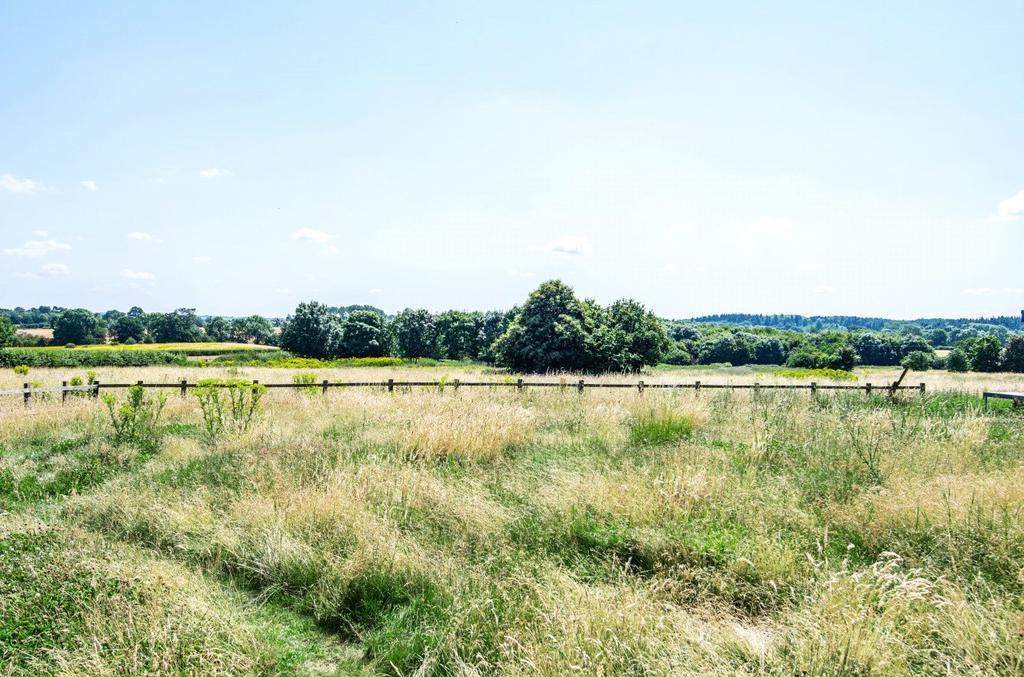 Meadow Garden &amp; View
