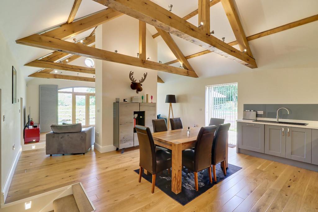 Living/dining kitchen