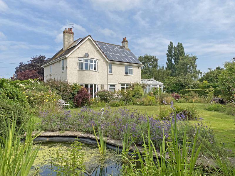 Pond View