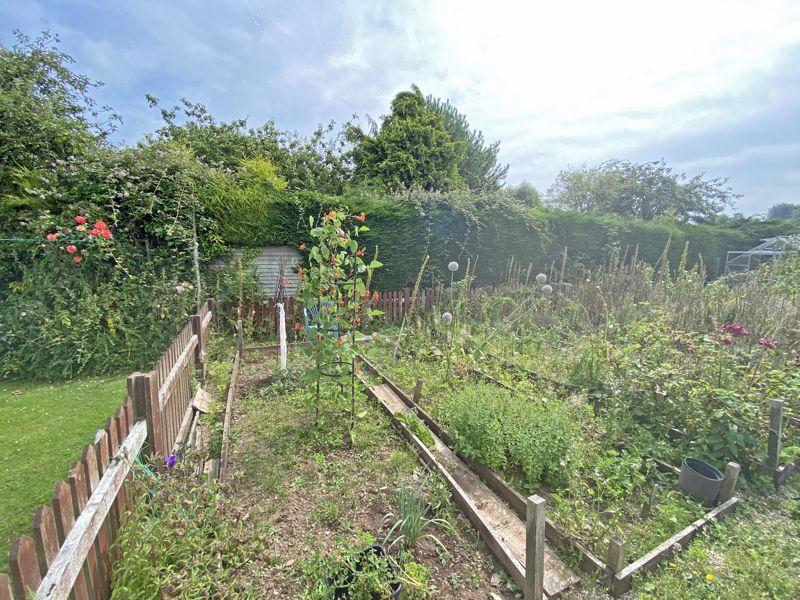 Veg Plots