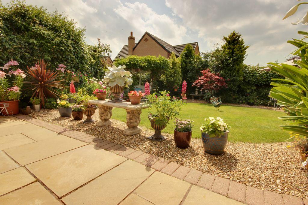 Garden at Back