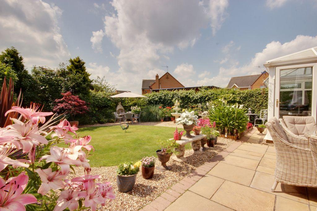 Garden at Back