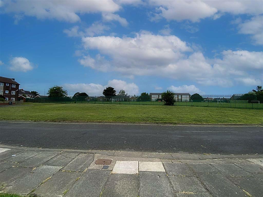 View to the Front