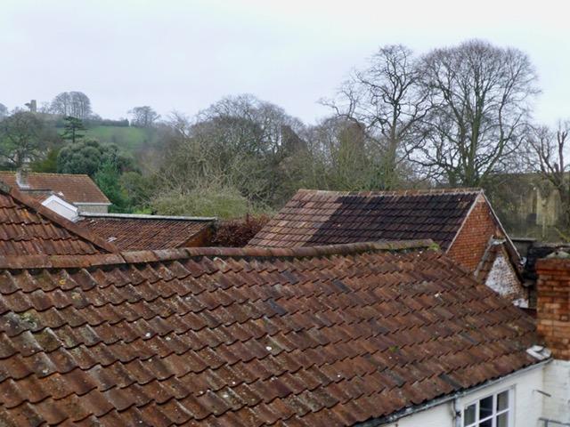 Roof top views