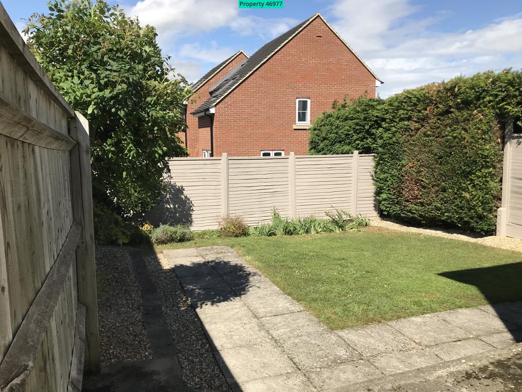 Back Garden