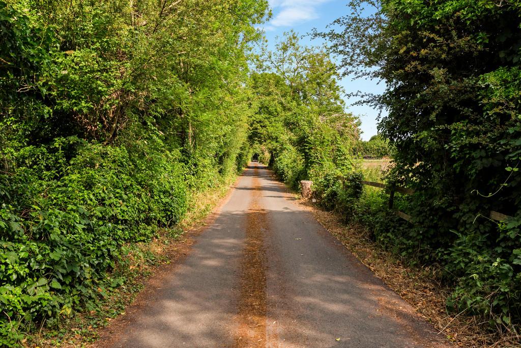 WV - Lane - Copy