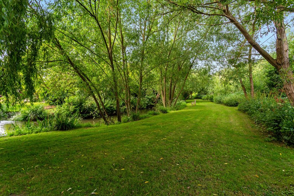 WV - meadow 2