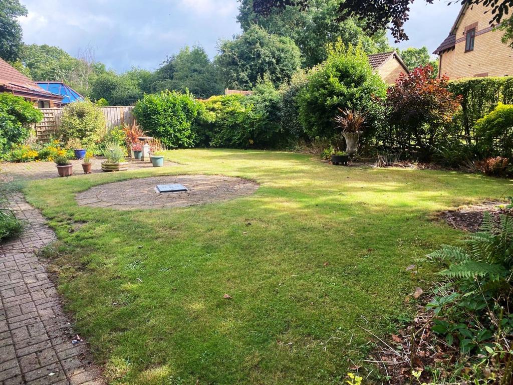 Rear garden