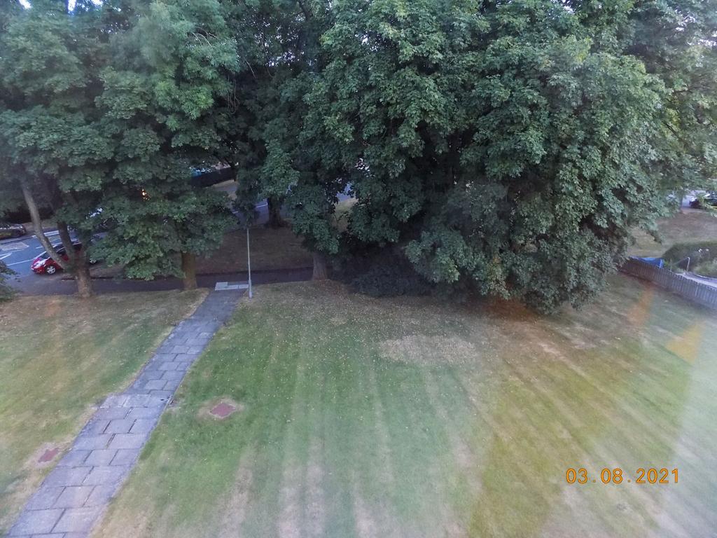 Front Area