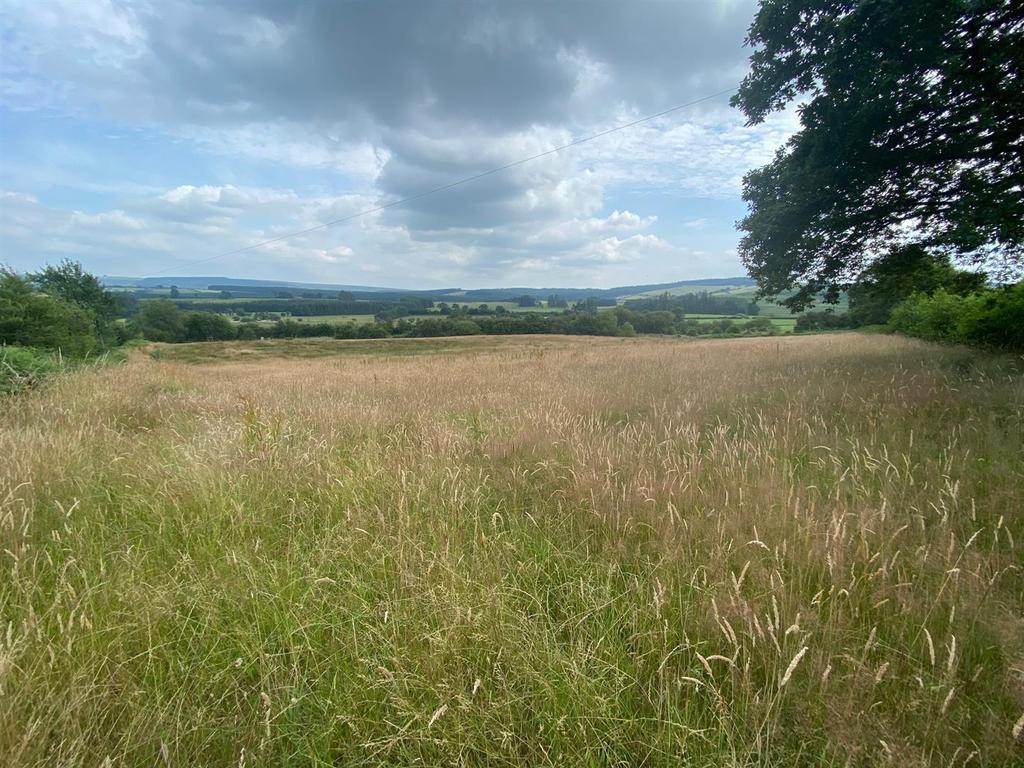 Llanwrtyd Wells, Powys Farm land £50,000