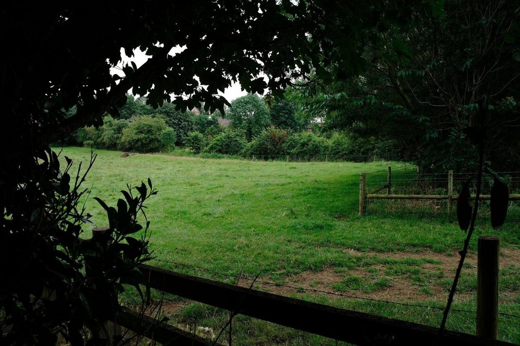 View From The Rear Of The Plots
