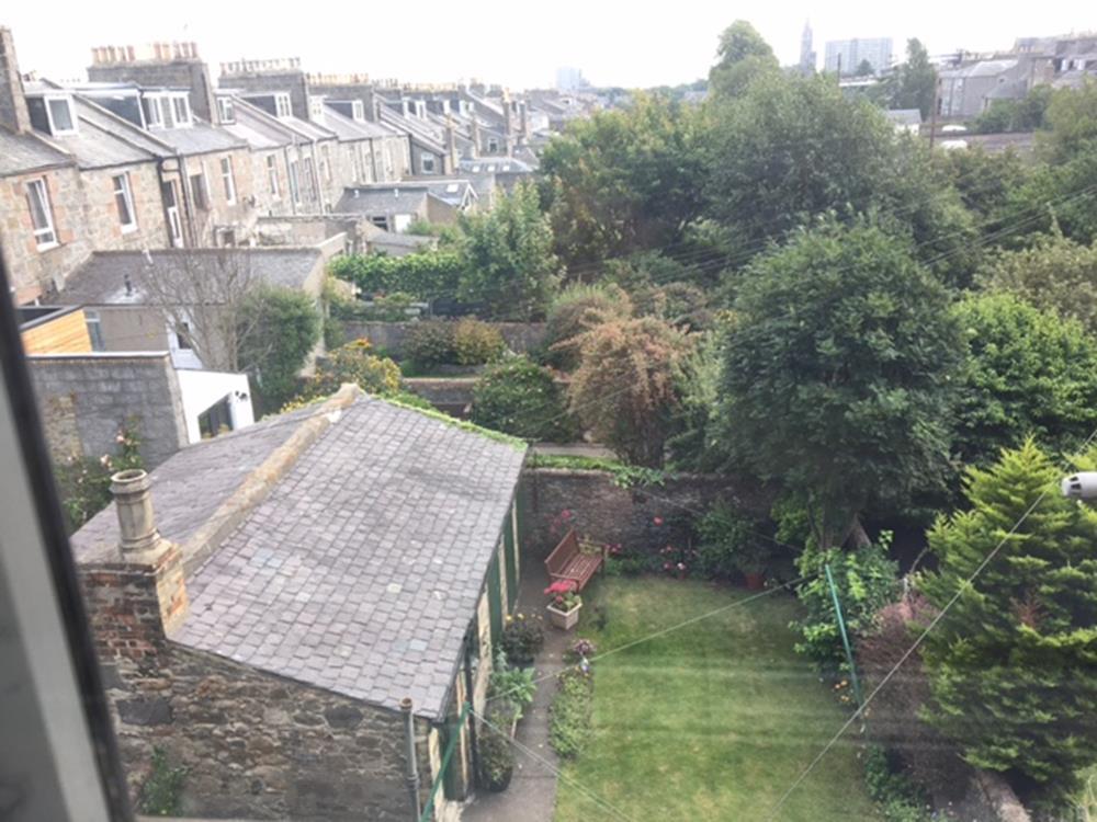 Garden 2