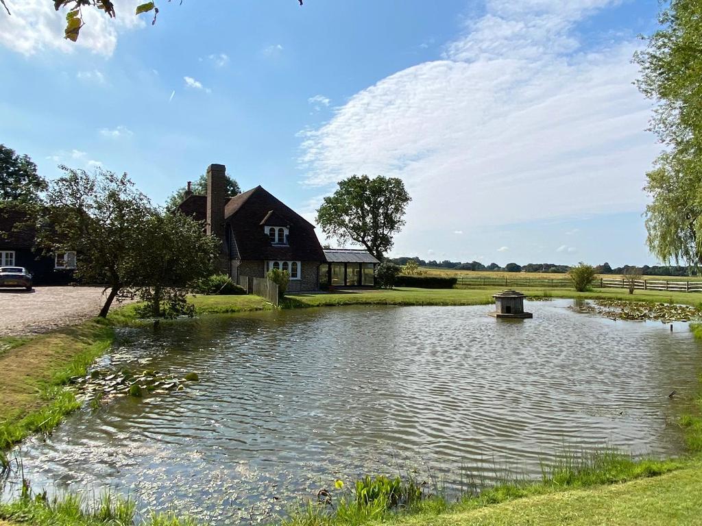 Pond