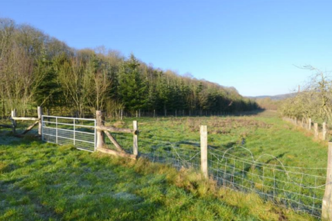 Land for sale - Batchcombe Lane, Storridge, Malvern, Herefordshire, WR13 5ES