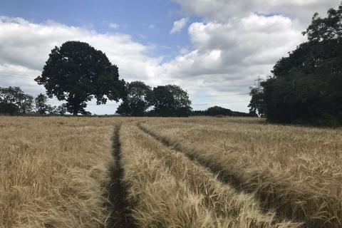 Land for sale, Wilberfoss