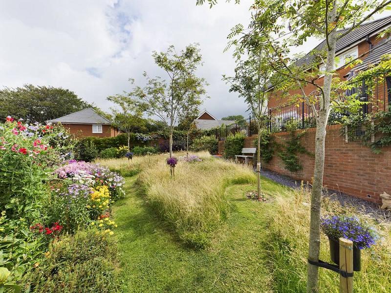 Garden 3