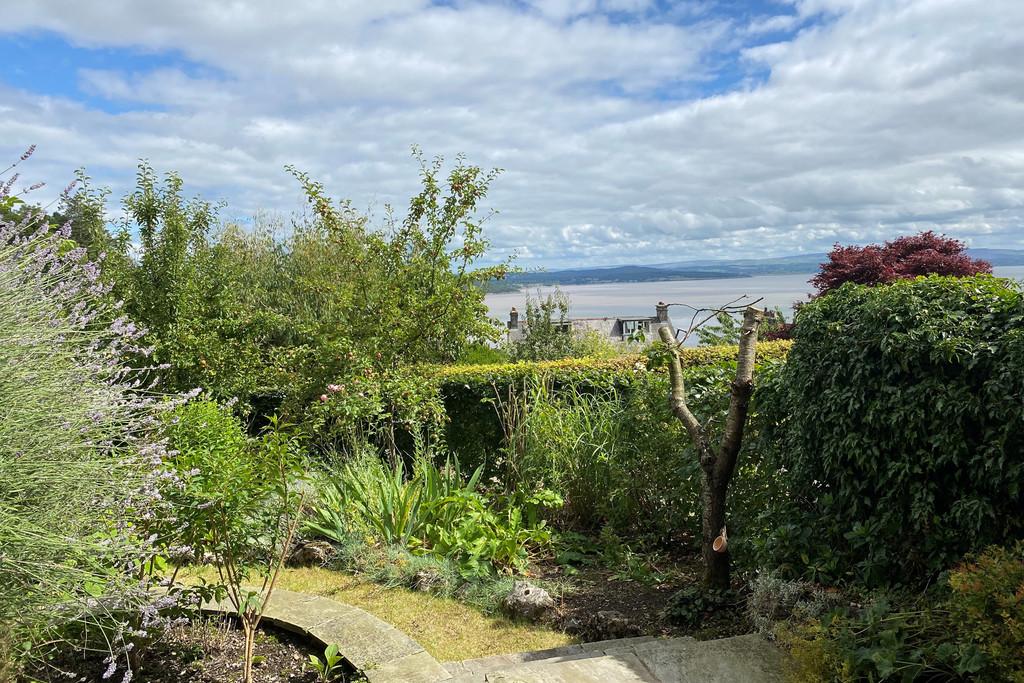 View from patio