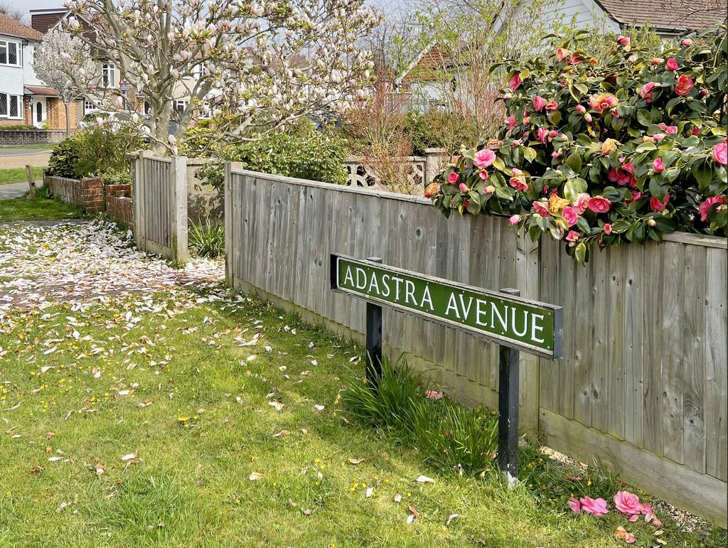 Adastra Avenue