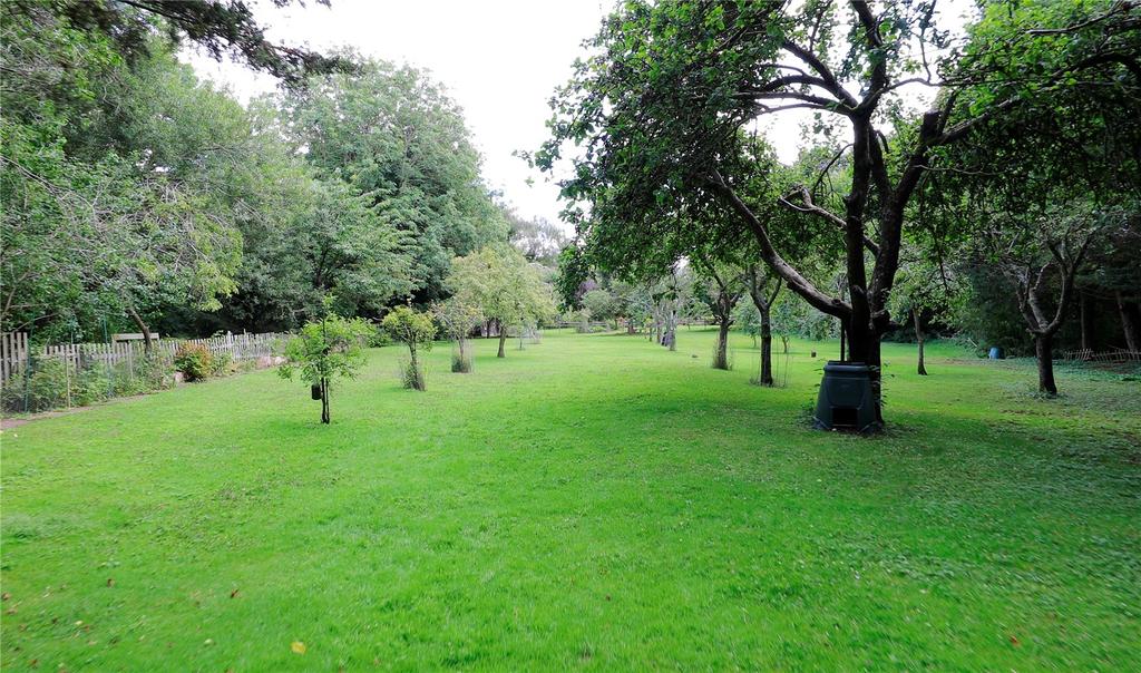 Grounds