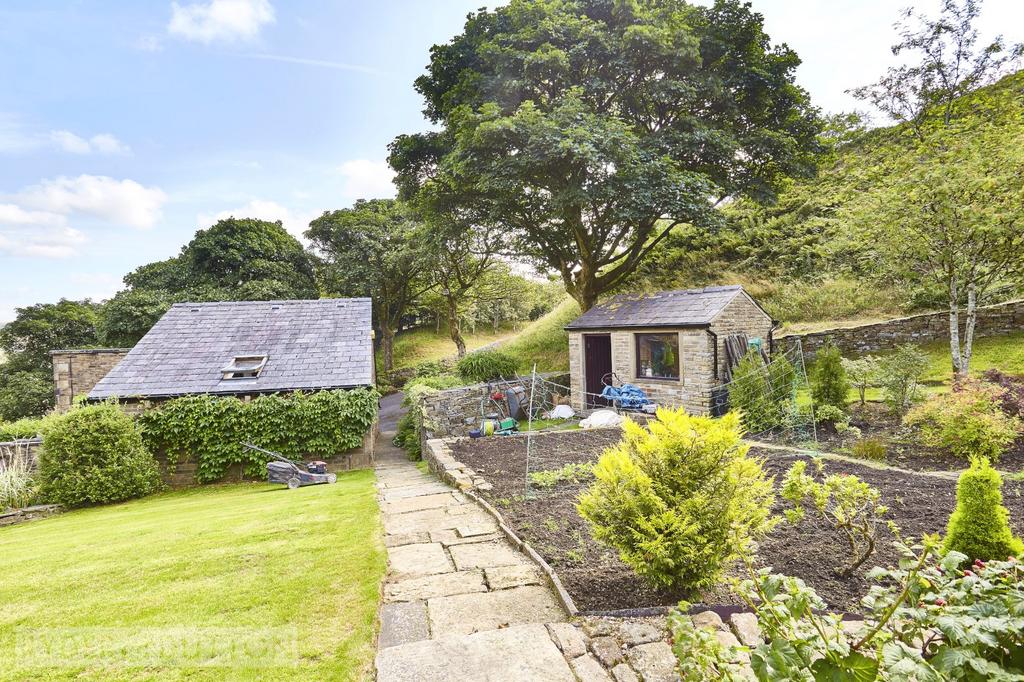 Garden and Veg