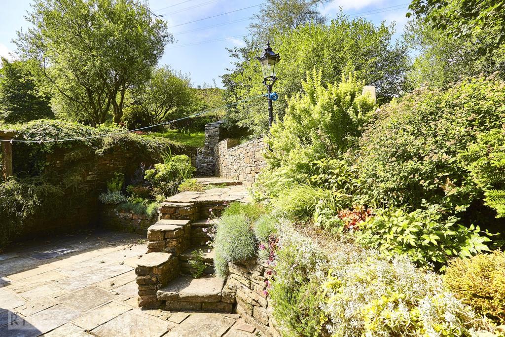 Terrace/Steps