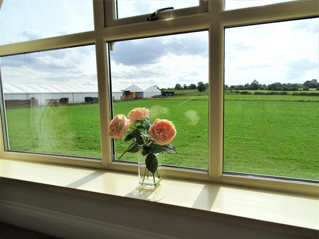 Master Bedroom View