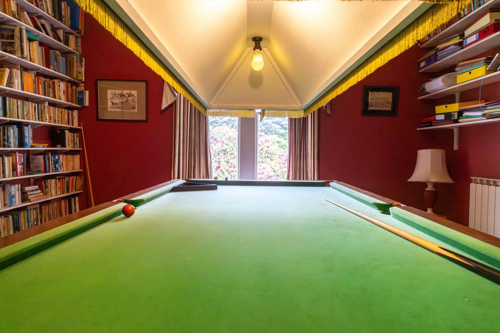 Billiard Room / Bedroom 4