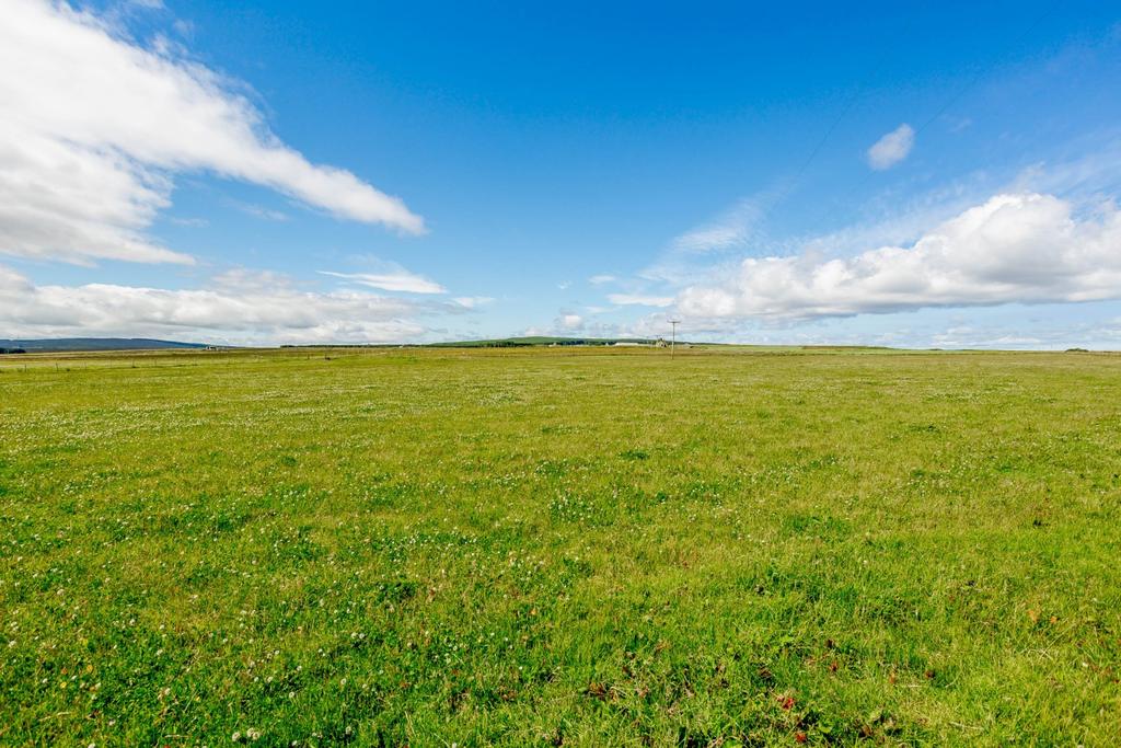 Tannach, Wick, Caithness Farm land for sale £495,000