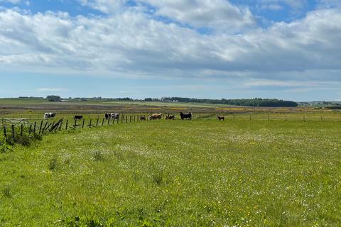 Farm land for sale, Tannach, Wick, Caithness