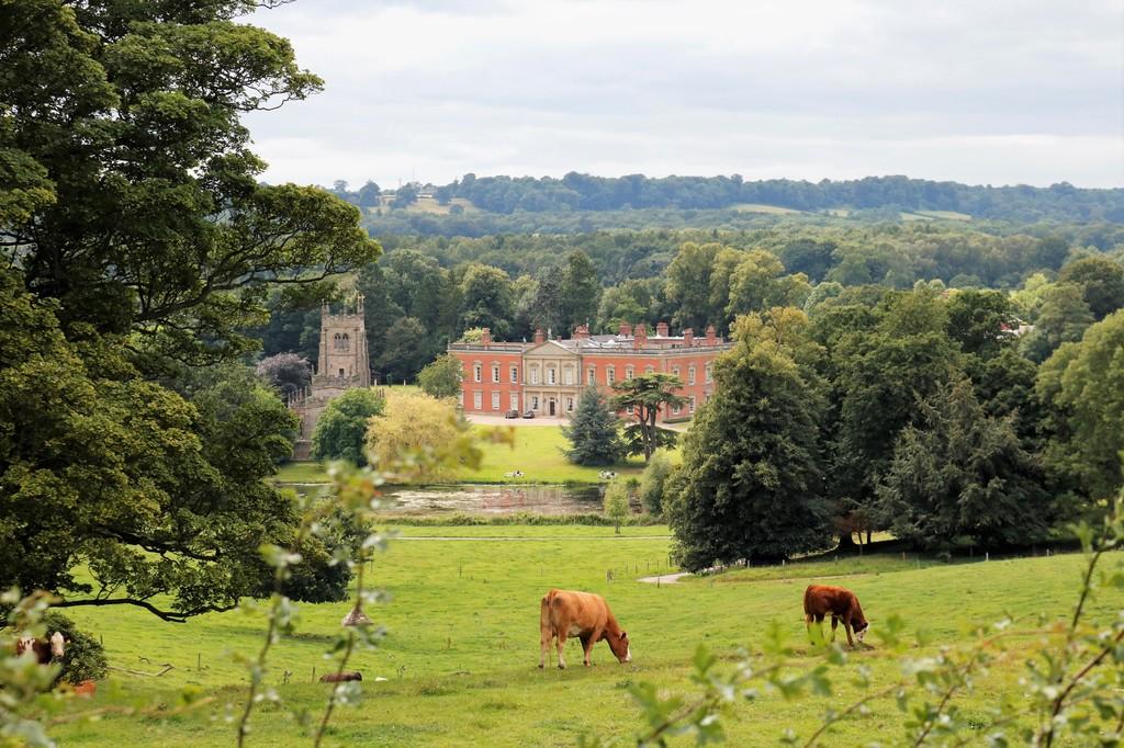 Surrounding Grounds