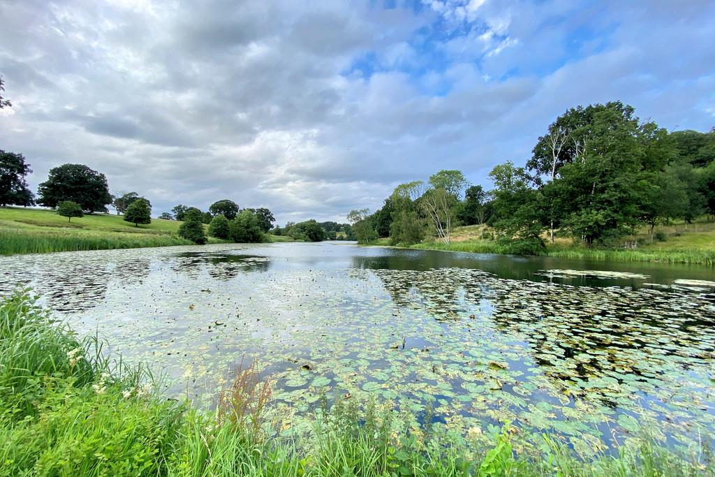 Surrounding Grounds
