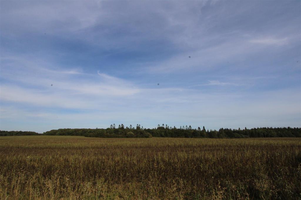Img 4532.jpg