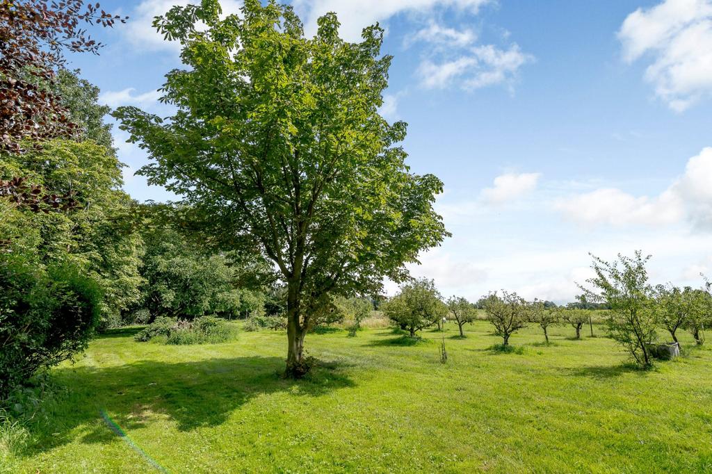 Orchard Paddock