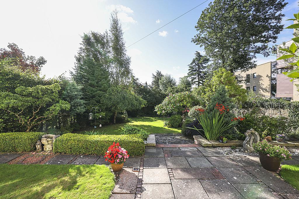 South Facing Garden