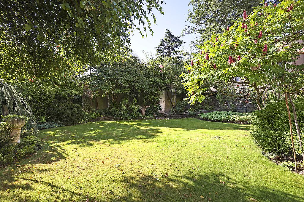 South Facing Garden