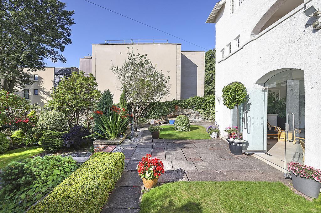 South Facing Garden