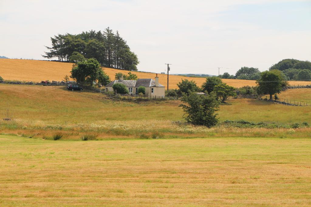 Broomisle Cottage, Machermore Newton Stewart - Wil