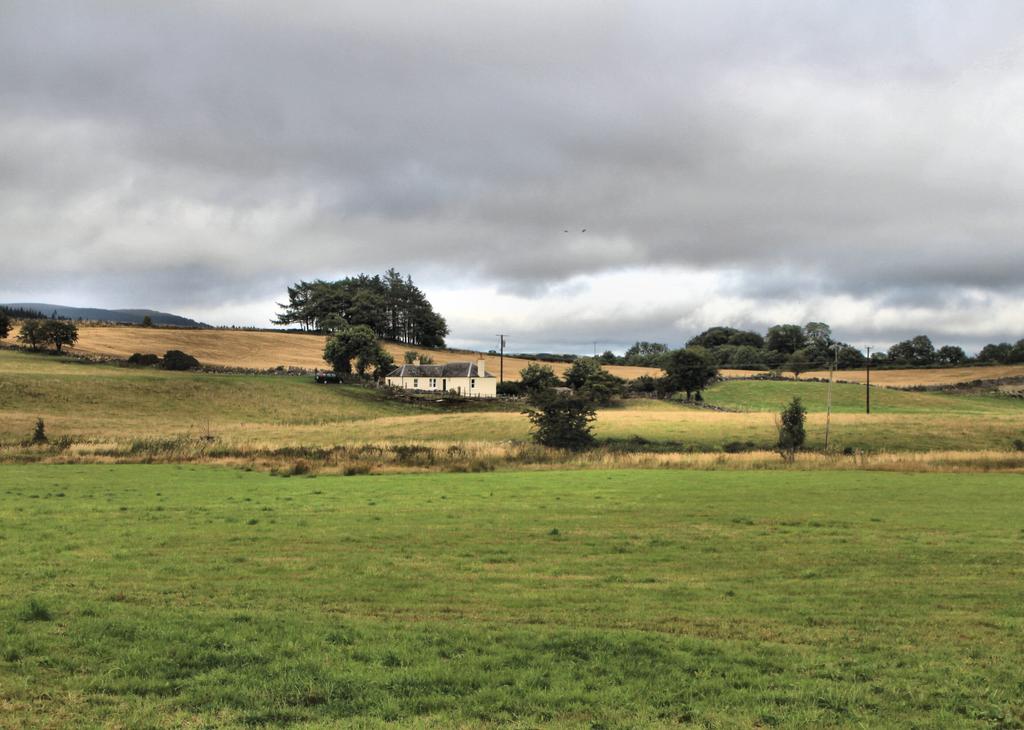 Broomisle Cottage, Machermore Newton Stewart - Wil