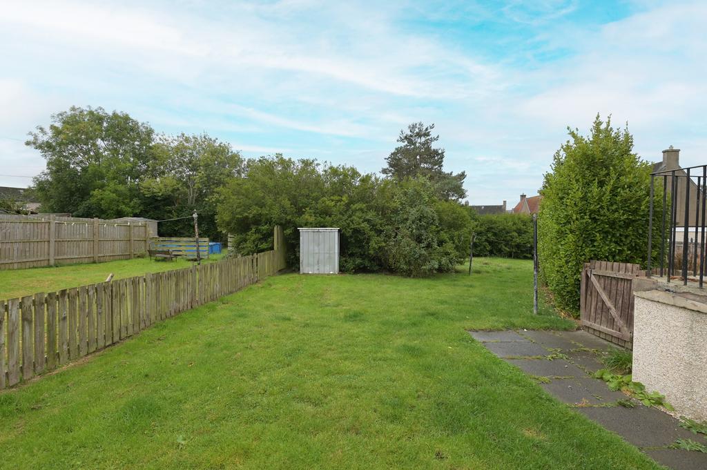 Back garden