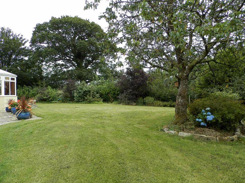 Mature Trees