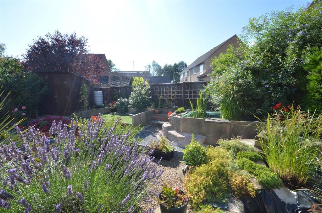 Garden 2.jpg