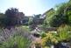 Garden 2.jpg