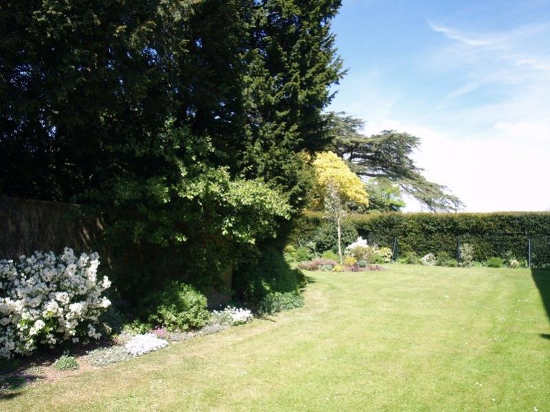 Communal gardens (2)