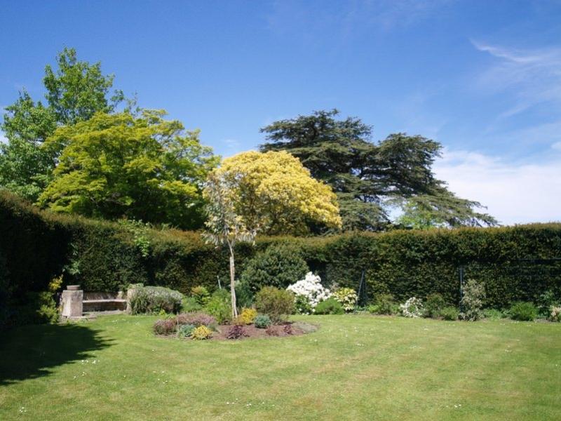 Communal gardens (1)