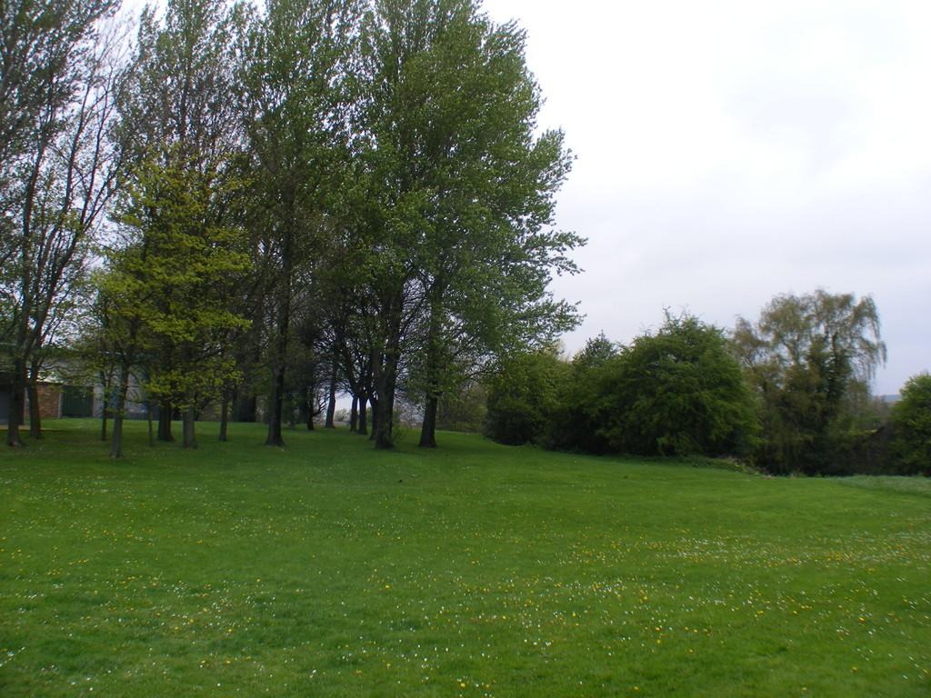 View from Lounge