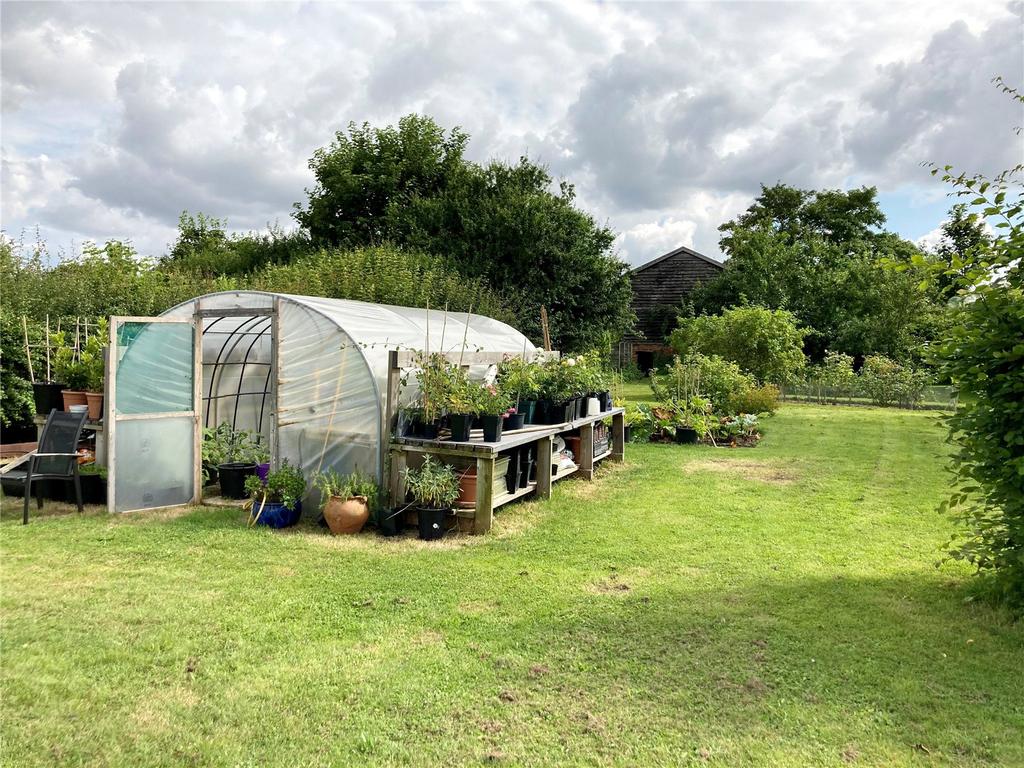 Vegetable Garden